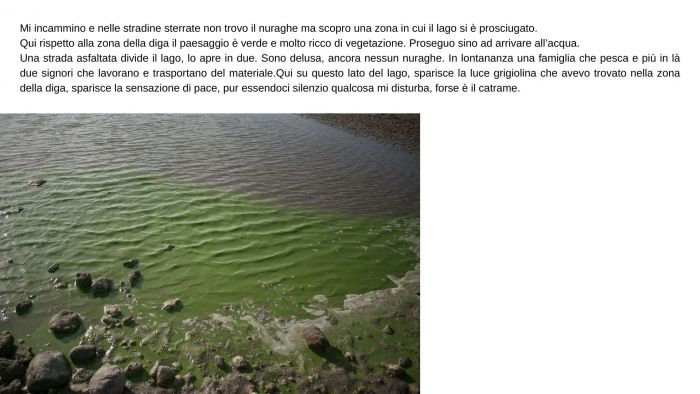 Diario del 2 giugno 2022 Lago del Cuga 40 gradi Ore 15.30 L’acqua è presente, il silenzio anche, pure le zanzare. - 15